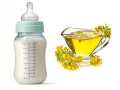 Adakah minyak rapeseed berbahaya dalam makanan bayi?