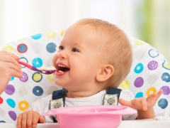 Quando, de que e como começar a alimentar a criança?