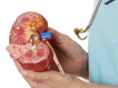 Glomerulonefrite em crianças