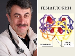 Dr. Komarovsky mengenai hemoglobin pada kanak-kanak