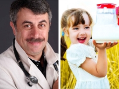 Si Dr. Komarovsky tungkol sa gatas