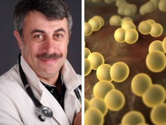 Si Dr. Komarovsky tungkol sa Staphylococcus aureus