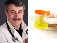Dr Komarovsky mengenai analisis air kencing yang tidak normal pada seorang kanak-kanak