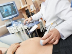 Ultrasound in the 17th week of pregnancy: fetal size and other features