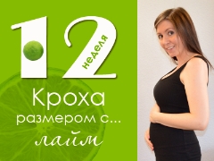 12 أسبوعًا من الحمل: ماذا يحدث للجنين والأم الحامل؟
