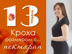 13 أسبوعًا من الحمل: ماذا يحدث للجنين والأم الحامل؟