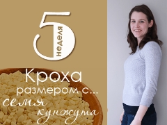 5 أسابيع من الحمل: ماذا يحدث للجنين والأم الحامل؟