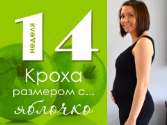 14 أسبوعًا من الحمل: ماذا يحدث للجنين والأم الحامل؟