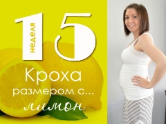 15 أسبوعًا من الحمل: ماذا يحدث للجنين والأم الحامل؟
