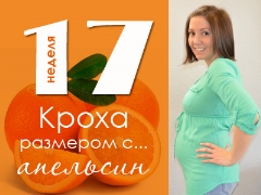 17 أسبوعًا من الحمل: ماذا يحدث للجنين والأم الحامل؟