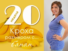 20 أسبوعًا من الحمل: ماذا يحدث للجنين والأم الحامل؟