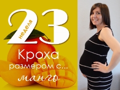 23 أسبوعًا من الحمل: ماذا يحدث للجنين والأم الحامل؟