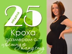 25 أسبوعًا من الحمل: ماذا يحدث للجنين والأم الحامل؟