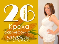 26 أسبوعًا من الحمل: ماذا يحدث للجنين والأم الحامل؟