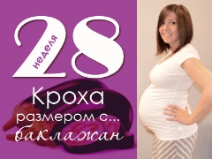 28 أسبوعًا من الحمل: ماذا يحدث للجنين والأم الحامل؟