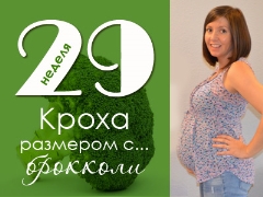 29 أسبوعًا من الحمل: ماذا يحدث للجنين والأم الحامل؟