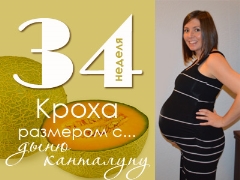 34 أسبوعًا من الحمل: ماذا يحدث للجنين والأم الحامل؟