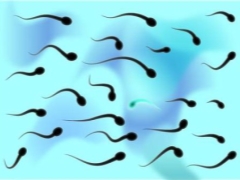 Was ist Oligozoospermie und wie beeinflusst sie die Empfängnis?