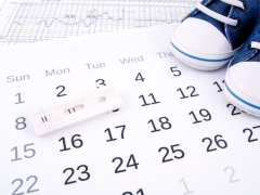 Calendário de ovulação para concepção: calculadora dos dias mais apropriados