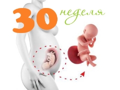 Развитието на плода на 30-та гестационна седмица