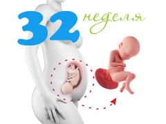 تطور الجنين في الأسبوع 32 من الحمل