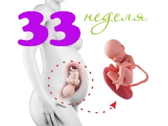 33. gebelikte fetal gelişim