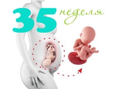 Desenvolvimento fetal na 35ª semana de gestação