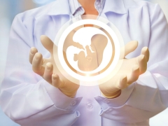 O que é fertilização in vitro e como isso ocorre? Quais são as características do procedimento e da gravidez?