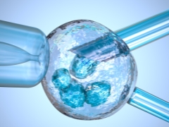 IVF без хормонално стимулиране в естествения цикъл
