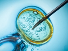Kilisenin IVF ile ilişkisi nedir?