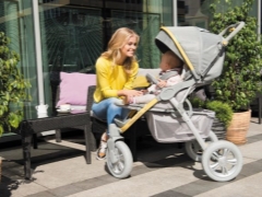What companies strollers worth paying attention to?