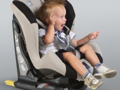 Overview of car seat cam models