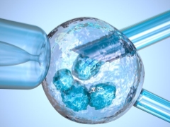 Суперовулация и стимулиране на яйчниците преди IVF