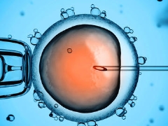 Todas as estatísticas sobre fertilização in vitro: da probabilidade de gravidez desde a primeira vez até a porcentagem de complicações