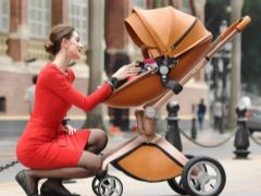 عربات أمي الساخنة: مزايا ونظرة عامة على مجموعة