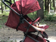 Features of the choice of strollers Carello