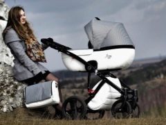Junama strollers: a variety of models and their features