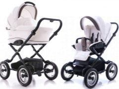 Strollers Navington: وصف للنماذج ، إيجابيات وسلبيات ، نصائح حول الاختيار