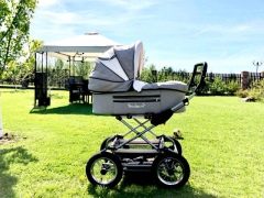 Reindeer strollers: model range and selection rules