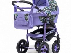 Teddy-Kinderwagen: Variationen und Tipps