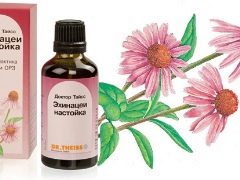Echinacea-Tinktur für Kinder: Gebrauchsanweisung