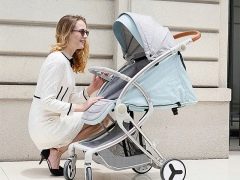 Teknum bebek arabası: tipleri ve özellikleri