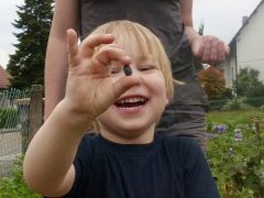 In welchem ​​Alter kann Kindern Geißblatt gegeben werden?