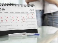 O que é o DPP durante a gravidez e por que esse termo é usado para fertilização in vitro?
