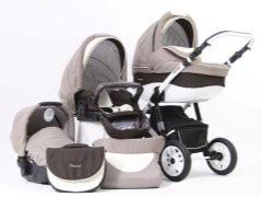 Carrinhos de passeio Concord: gama de modelos e características de escolha