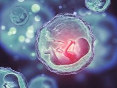 Yumurtlamadan sonra hangi günde embriyo implantı gerçekleşir ve ne kadar sürer?