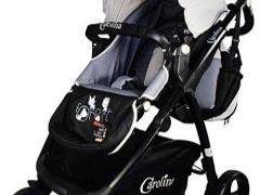 Gezginci Carolina: özellikleri ve model aralığı