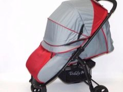 Pelbagai model dan ciri-ciri kerusi roda Teddy Bear