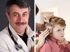Dr Komarovsky mengenai apa yang perlu dilakukan jika seorang kanak-kanak mempunyai kutu