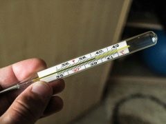 Was tun, wenn die Temperatur bei Schwangeren im ersten Trimester liegt?